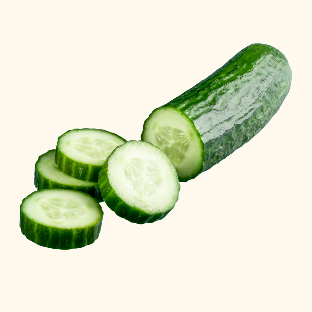 Gurke frisch [12 Stück]