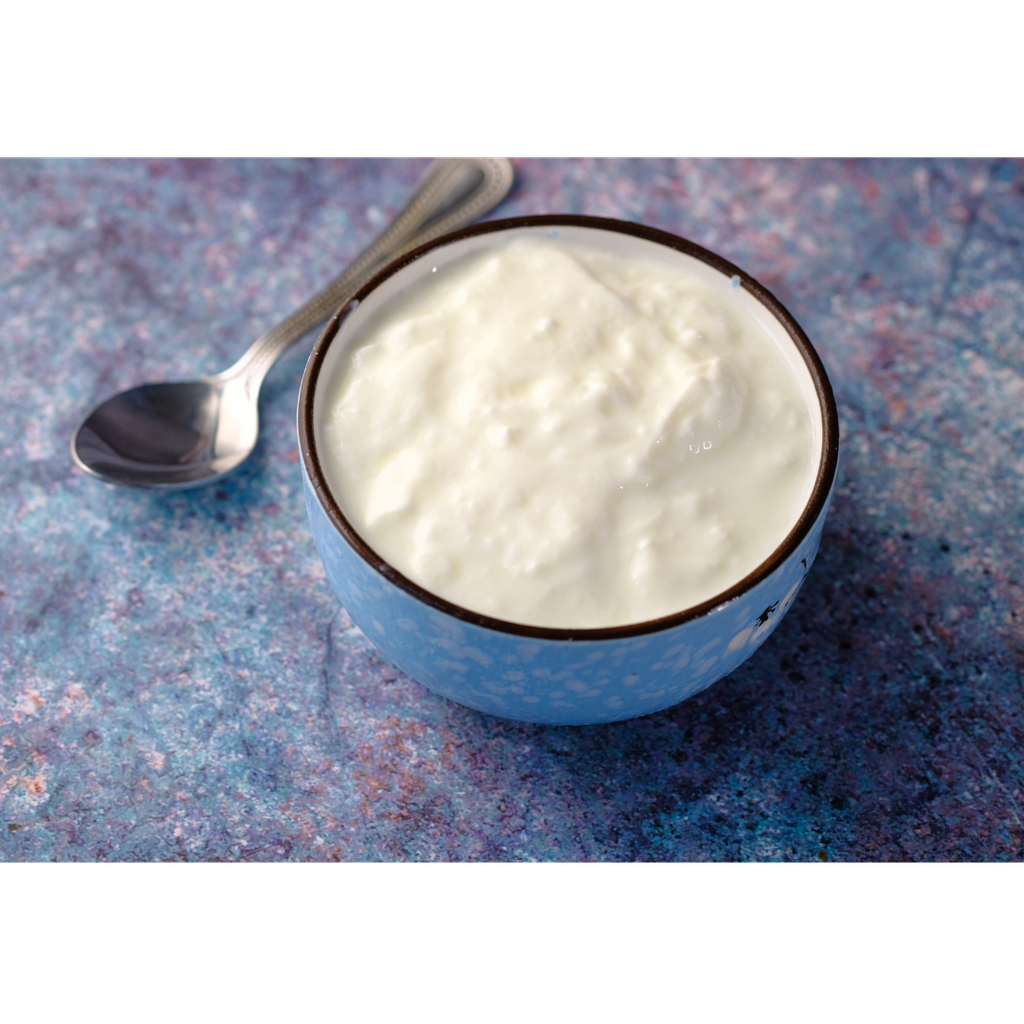 Haydi Türkisch Joghurt 3,5% [10 Kg/Kübel]