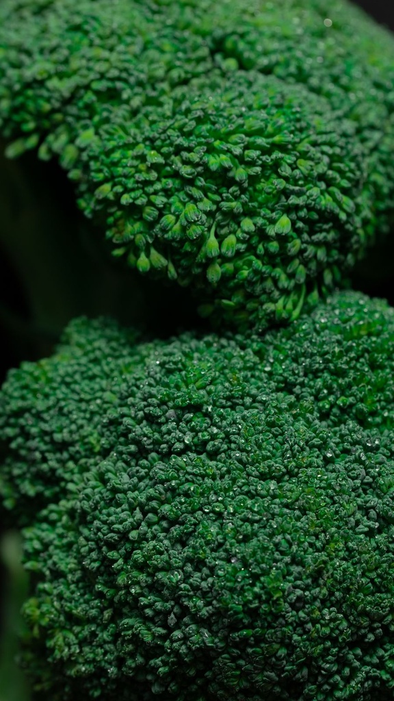Broccoli Frisch [10x500g]