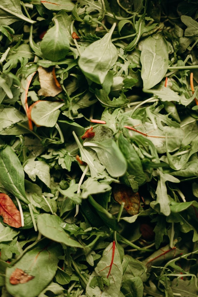 Mixsalat Frisch [9 Stück]