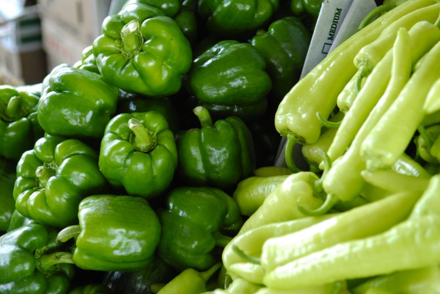 Paprika Grün Frisch [5 Kg]