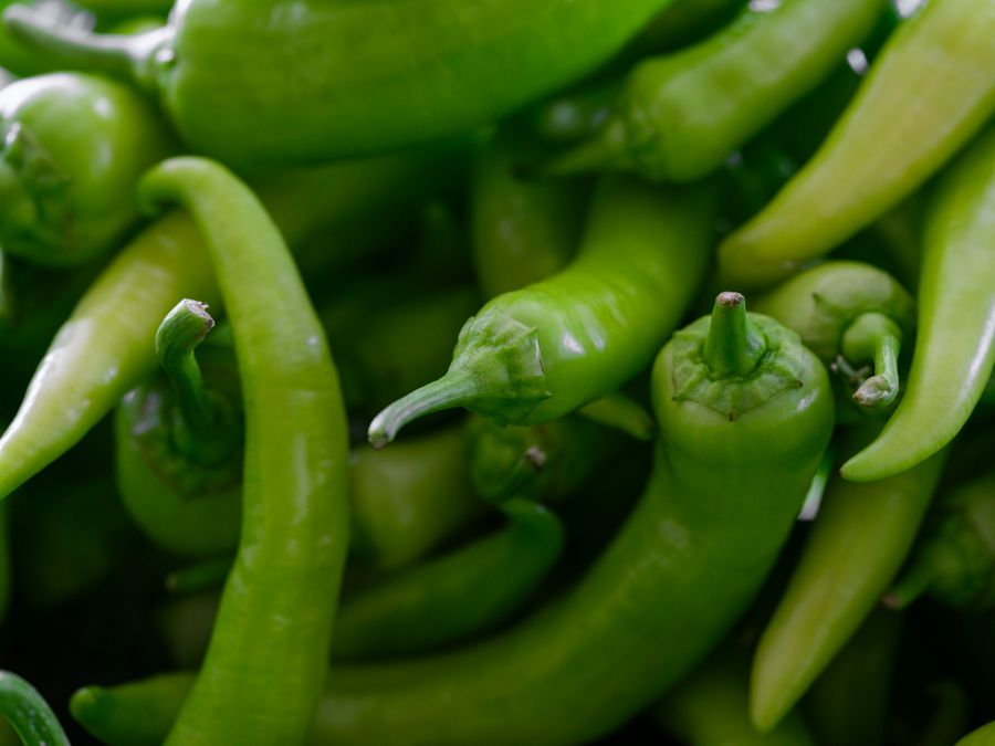 Pfefferoni Spiral Frisch [15x400g]