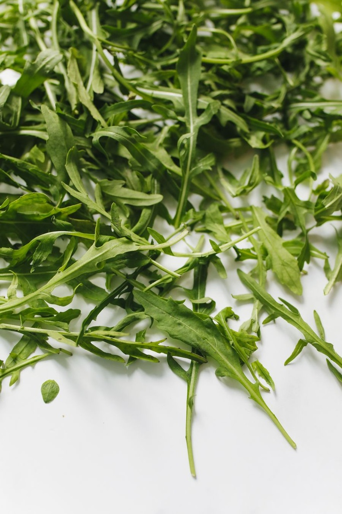Rucola Frisch [1 Kg]