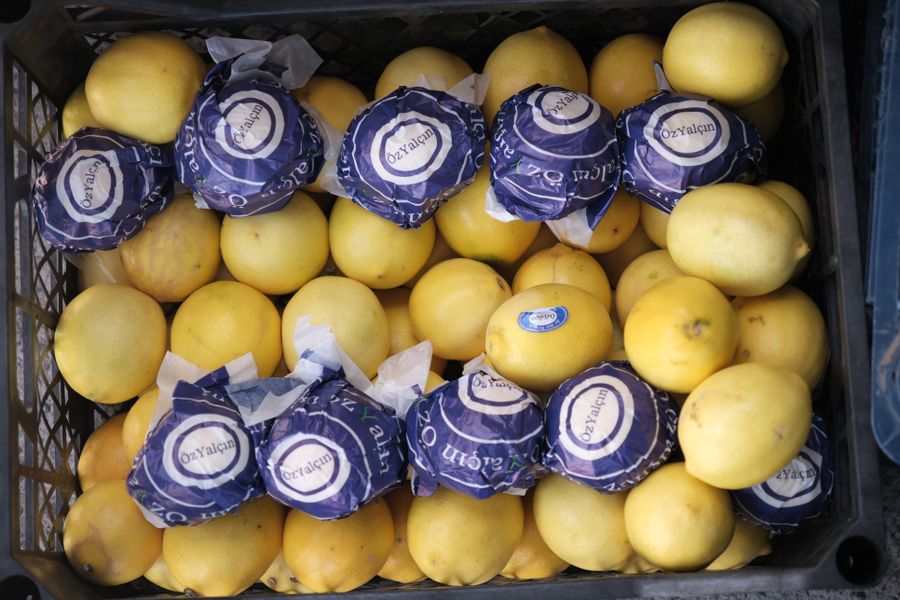 Zitronen Mayer Frisch [30x500g]