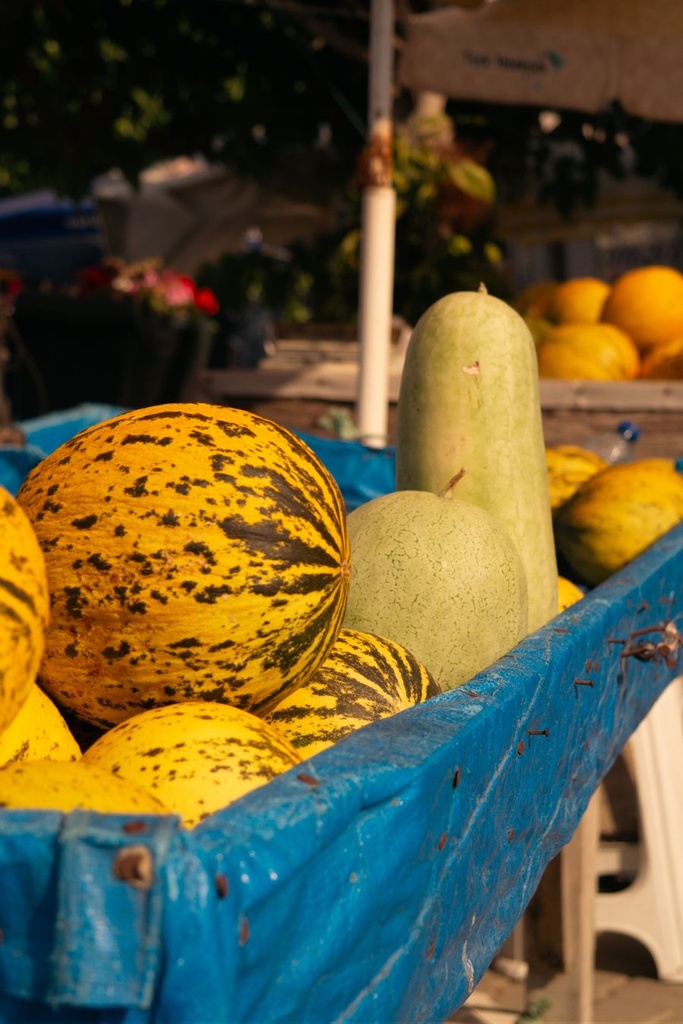 Melone Galia Frisch [1 Kg]