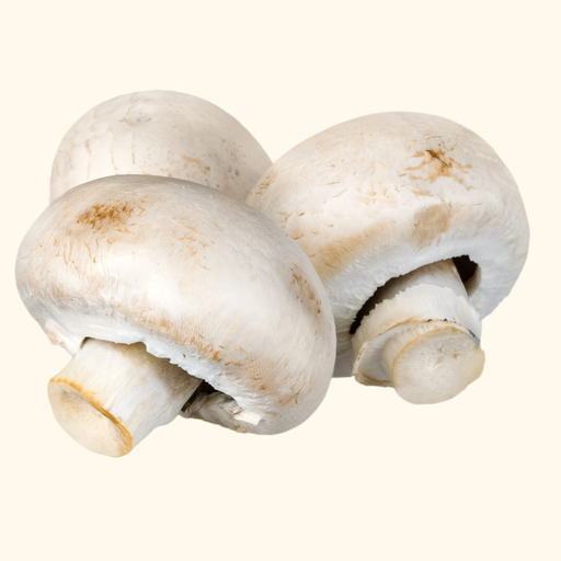 Champignon frisch [4x500g]
