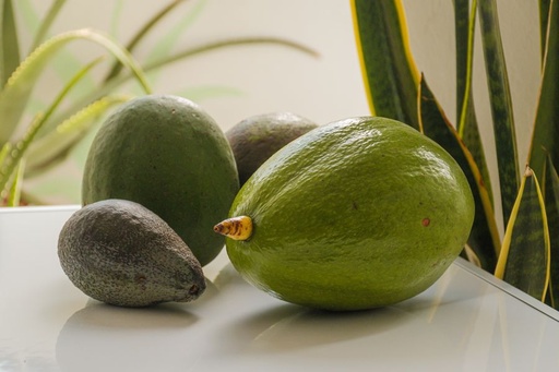 [OG-001] Avocado Hass [4 Kg/18 Stück]