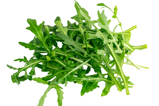 [OG-040] Rucola frisch [1 Kg/Pack]