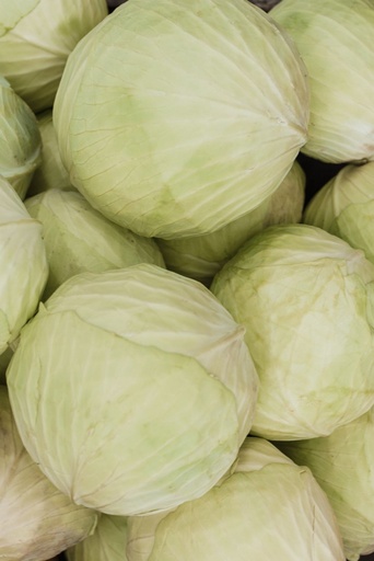 [OG-076] Kraut Flach Frisch [1 Kg]
