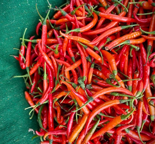 [OG-084] Pfefferoni Rot Frisch [24x250g]