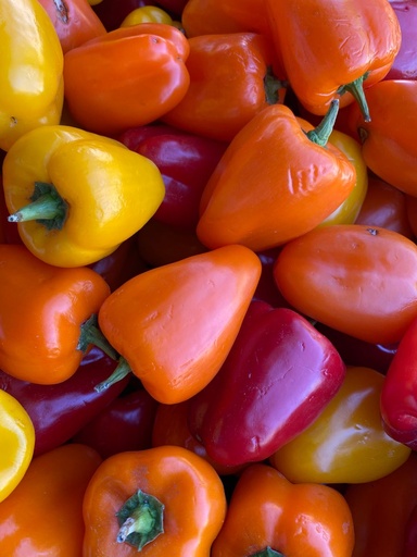 [OG-099] Paprika Orange Frisch [10 Kg]