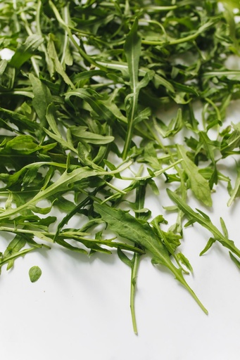 [OG-104] Rucola Frisch [1 Kg]