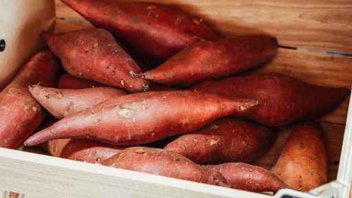 [OG-122] Süßkartoffel Frisch [6 Kg]