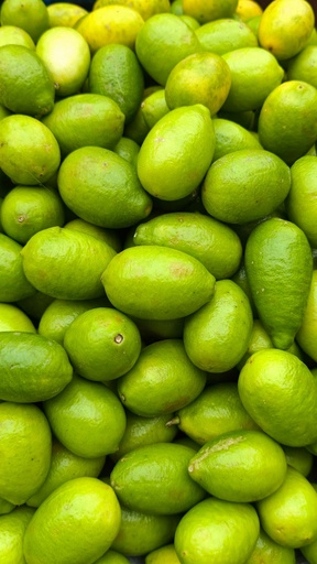 [OG-137] Limetten Frisch [15 Kg]