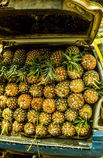[OG-154] Ananas Extra Sweet Frisch [8 Stück]