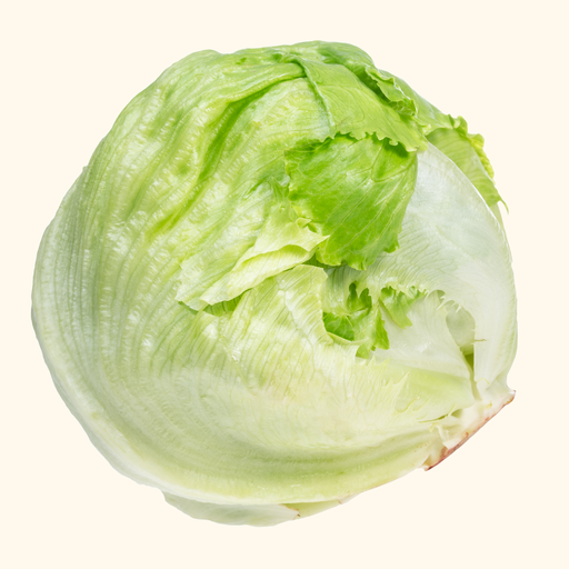 Eisbergsalat [9-10 Stück]